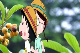 枇杷这一吃法，很多人都没试过，一岁宝宝适当吃点枇杷，润肺止咳视频封面