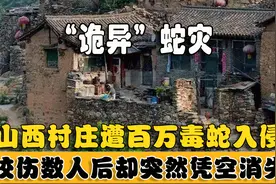 山西村庄遭百万毒蛇入侵，咬伤数人后凭空消失，找到时已集体自杀