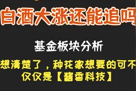 基金行情分析  白酒大涨还能追吗视频封面