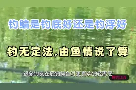 夏季钓鳊鱼是钓底还是钓浮?这样钓,中鱼率高还能擒获大物