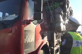 司机为多挣运费，超载上路后被罚，司机：照顾照顾别记分了视频封面