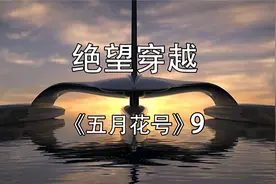 【纪录片】绝望穿越《五月花号》9【480p】【转载】视频封面