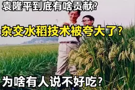 袁隆平到底有啥贡献？杂交水稻技术被夸大了？为啥有人说不好吃视频封面
