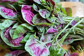 红苋菜到底要不要焯水，这样做鲜嫩美味，孩子隔三差五点名要吃