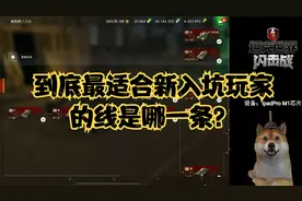 【毛毛WOTB】到底最适合新入坑玩家的线是哪一条？