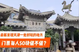 天津新发现一处好玩的地方，新奇漂亮很不错，门票每人50值不值？视频封面