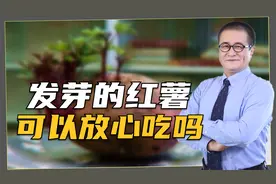 发芽的红薯能吃吗？会像土豆发芽一样有毒吗？现在知道还不晚视频封面
