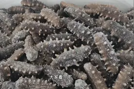 海参不想自己煮发还要最大程度保留营养，妮妮推荐冷蒸即食新技术视频封面