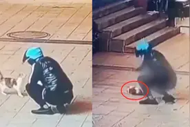 残忍！监拍：广东一外卖员当街虐猫 拎起小猫反复进行狠摔还踩踏视频封面