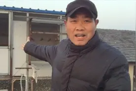 空间有限怎样建造鸽棚？农村大叔介绍朋友强哥的鸽棚给大家做参考视频封面