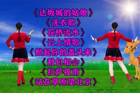 《达坂城的姑娘》《敖包相会》《掀起你的盖头来》《拉萨夜雨》视频封面