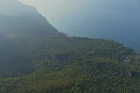 农村的车前草这样子煮水喝，可以让你结石不再有视频封面