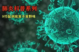 【纪录片】肺炎科普系列9竹鼠到底算不算野味【720P】【转载】