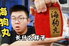 【西瓜首开】海狗丸里长什么样子视频封面