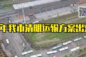 今年我市清明运输方案出炉视频封面