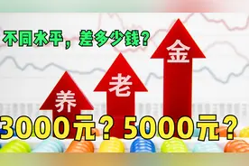 在东北辽宁，养老金3000月和5000元的调整之后，增长额差多少呢？视频封面
