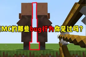 我的世界：盘点MC有哪些bug行为？这太不科学了！