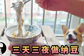 【寺洞】花了整整45个小时，在家用电饭煲做纳豆