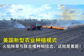 美国新型农业种植模式，火焰除草与联合播种相结合，这就是差距！视频封面