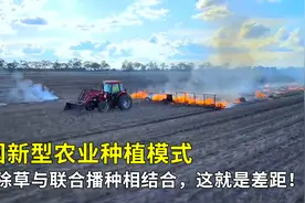 美国新型农业种植模式，火焰除草与联合播种相结合，这就是差距！视频封面