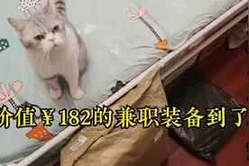 顺丰同城兼职必备装备到了，开箱看看视频封面