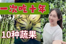 10种蔬果种一次吃十年，多年生的蔬菜，懒人种菜必看视频封面