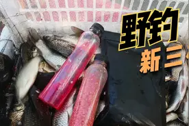 真正的春钓滩来了！岸边3.6米鱼竿爆连大鲫鱼，这个感觉真好视频封面