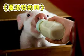 女孩养了只宠物小猪，不仅每天给它喂奶洗澡，还把它带去上学