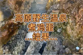 在海拔五千的地方露营 煮野生温泉蛋 简直不要太爽 #房车露营视频封面