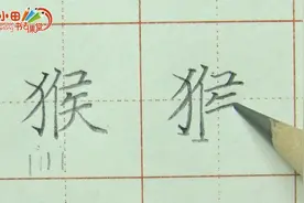猴——拆分结构，精细讲解，视频教学帮你写一手好字！视频封面