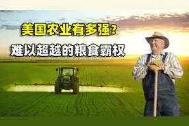 美国的农业有多强？难以超越的粮食霸权，稳坐世界第一农业大国视频封面