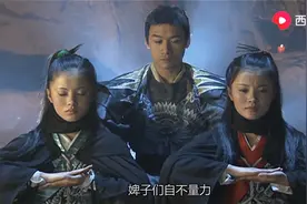 天龙：虚竹进入缥缈峰后山，修炼天山折梅手，两个婢子直呼顶不住视频封面