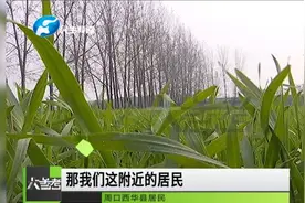 河南多地凌晨突然被不明物体照亮，疑似陨石坠落？专家这样解释视频封面