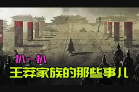 扒一扒王莽家族的瓜！王莽为啥能成功篡位，因为他家奋斗了两百年视频封面