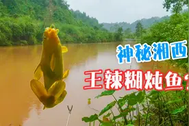 野钓十条鲜鱼，柴火炖一锅糊汤，神秘湘西独特美味让人难忘。视频封面