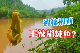 野钓十条鲜鱼，柴火炖一锅糊汤，神秘湘西独特美味让人难忘。视频封面