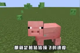 我的世界,还能被猪顶飞,玩家试了一下,猪猪直接把他游戏顶没了！
