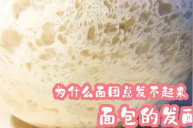 【详解面包的发酵】为什么我做面包总发不起来呢？视频封面