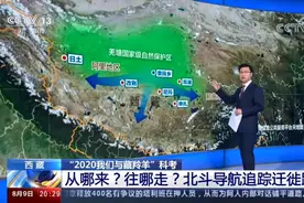 藏羚羊迁徙大军从哪来？往哪去？北斗导航追踪迁徙路线