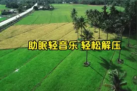 吃人的嘴短，拿人的手短视频封面