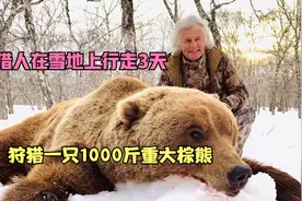 棕熊出没，猎人在雪山上行走3天，狩猎一只1000斤大棕熊视频封面
