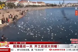 假期过后气温大回升！预计30日至31日，山东多地最高温达10℃以上视频封面