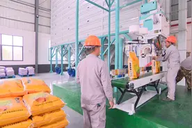 20万亩无公害优质水稻种植及加工产业项目一期投产视频封面