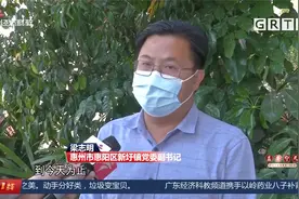 惠州惠阳：三鸟市场断水断电 大量禽类死亡 这个市场是违建？视频封面