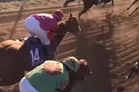励志电影：一匹受伤的赛马要被处死，女孩收养了它，成功的蜕变