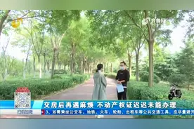 交房费尽周折，办不动产证又遇麻烦，业主想要购房发票也成难题视频封面