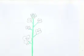 彩铅油菜花的画法视频封面