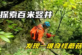 探秘奴家长坑，当地村民说洞中有妖怪，在里面发现一堆奇怪蘑菇视频封面