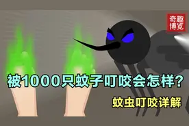 被一千只蚊子咬会怎样，三分钟了解蚊子叮咬的原因视频封面