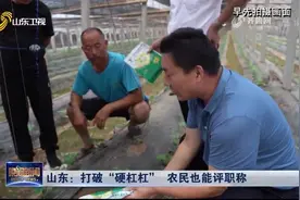 山东打破“硬杠杠”，农民也能评职称，不再受学历、论文等限制视频封面